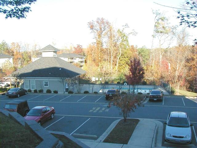 Community swimming pool at University Commons